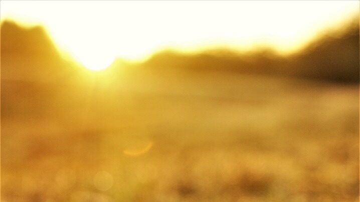 tear, soft, mist