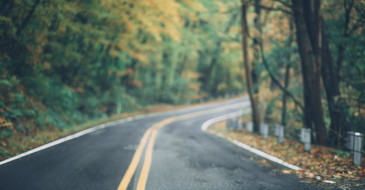 A scenic winding road through a vibrant autumn forest in Long Pond, PA.